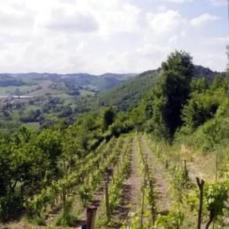 Mit Einer Atemberaubenden Aussicht- By Interhome Ουρμπίνο