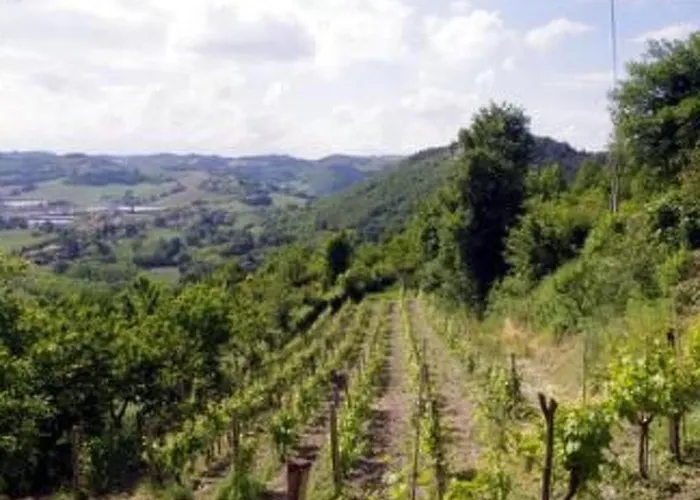 Mit Einer Atemberaubenden Aussicht- By Interhome Ουρμπίνο