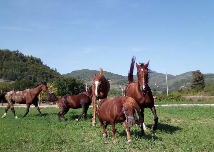 Mit Einer Atemberaubenden Aussicht- By Interhome Σπίτι διακοπών *